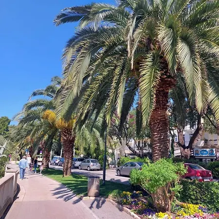 Ziks * 크리크베니카