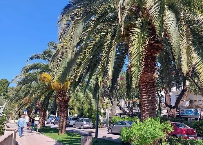 Ziks * 茨里克韦尼察